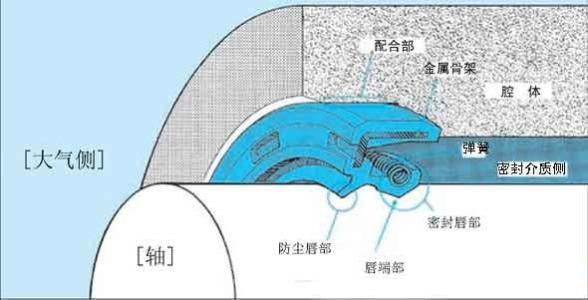 橡胶油封唇口示意图