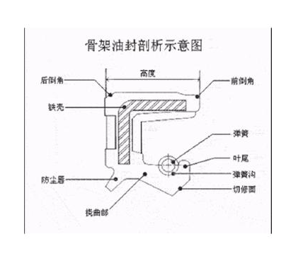 骨架油封