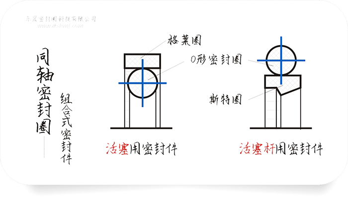 同轴组合密封件圈截面结构平面图（图1-1）4