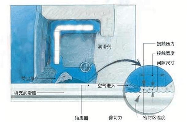 油封（密封件密封圈）密封唇口与旋转轴表面接触区4